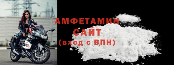 шишки Горно-Алтайск