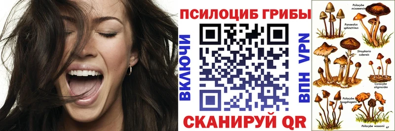 Галлюциногенные грибы прущие грибы  купить  цена  Глазов 