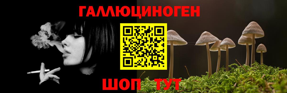 Псилоцибиновые грибы GOLDEN TEACHER  Вход с VPN  Галлюциногенные грибы Psilocybe  купить закладку  Глазов 